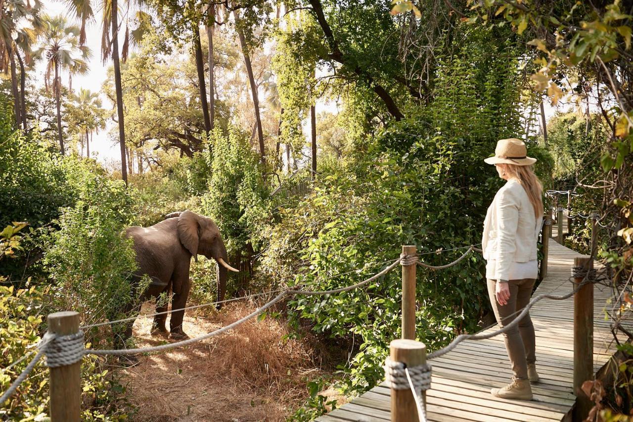 Victoria Falls River Lodge Εξωτερικό φωτογραφία