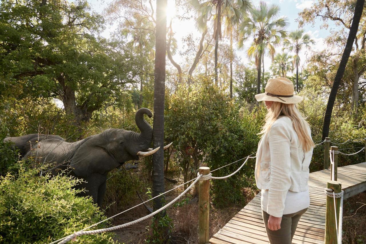 Victoria Falls River Lodge Εξωτερικό φωτογραφία